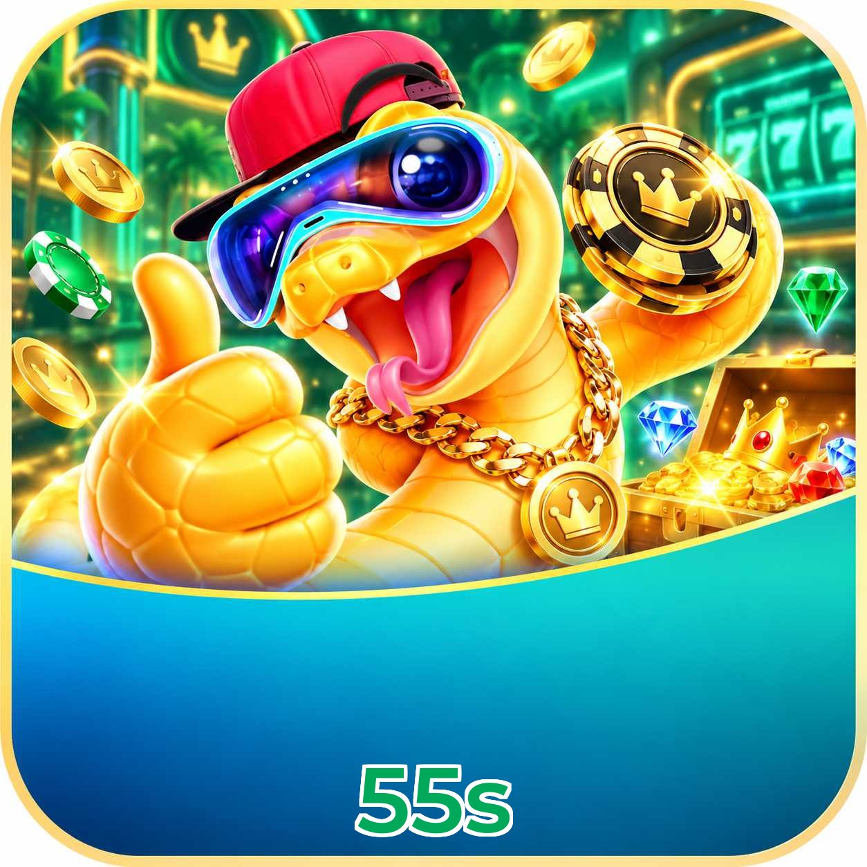55s System Requirements